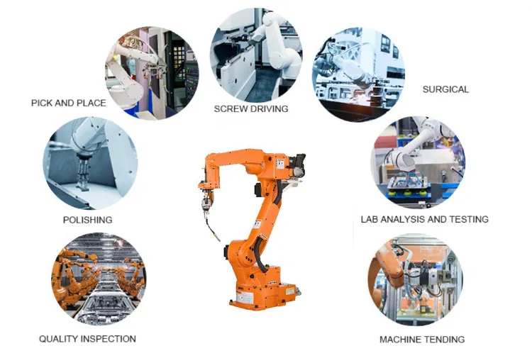 Công nghiệp Palletizing Đặt chồng túi cầm hộp gói Robot xử lý robot cánh tay 2